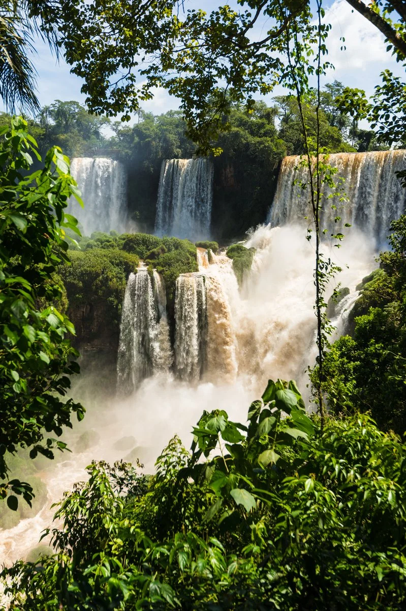Buenos Aires - Puerto Iguazu - Parco lato brasiliano - Puerto Iguazu - immagine 3 di 3