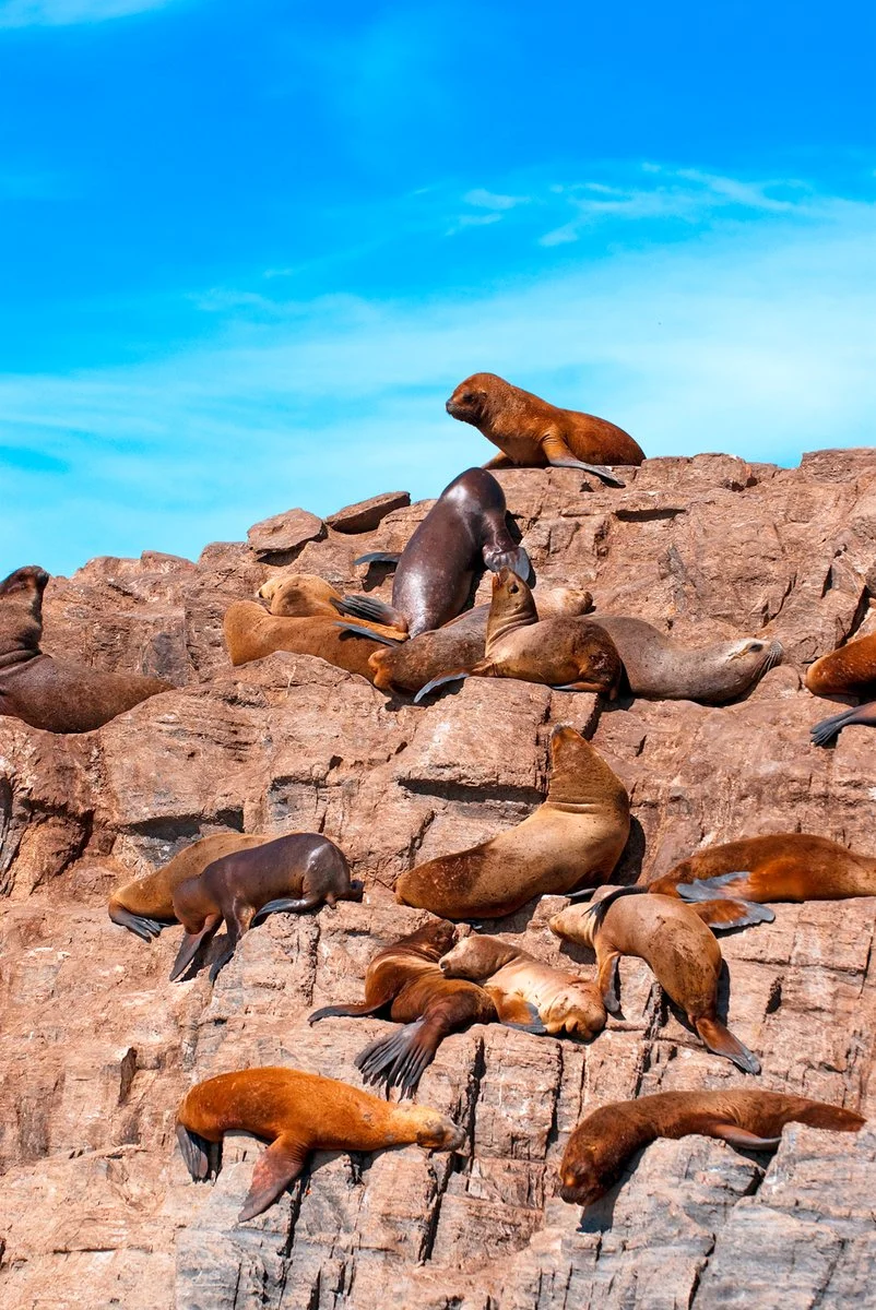 Ushuaia - immagine 4 di 4