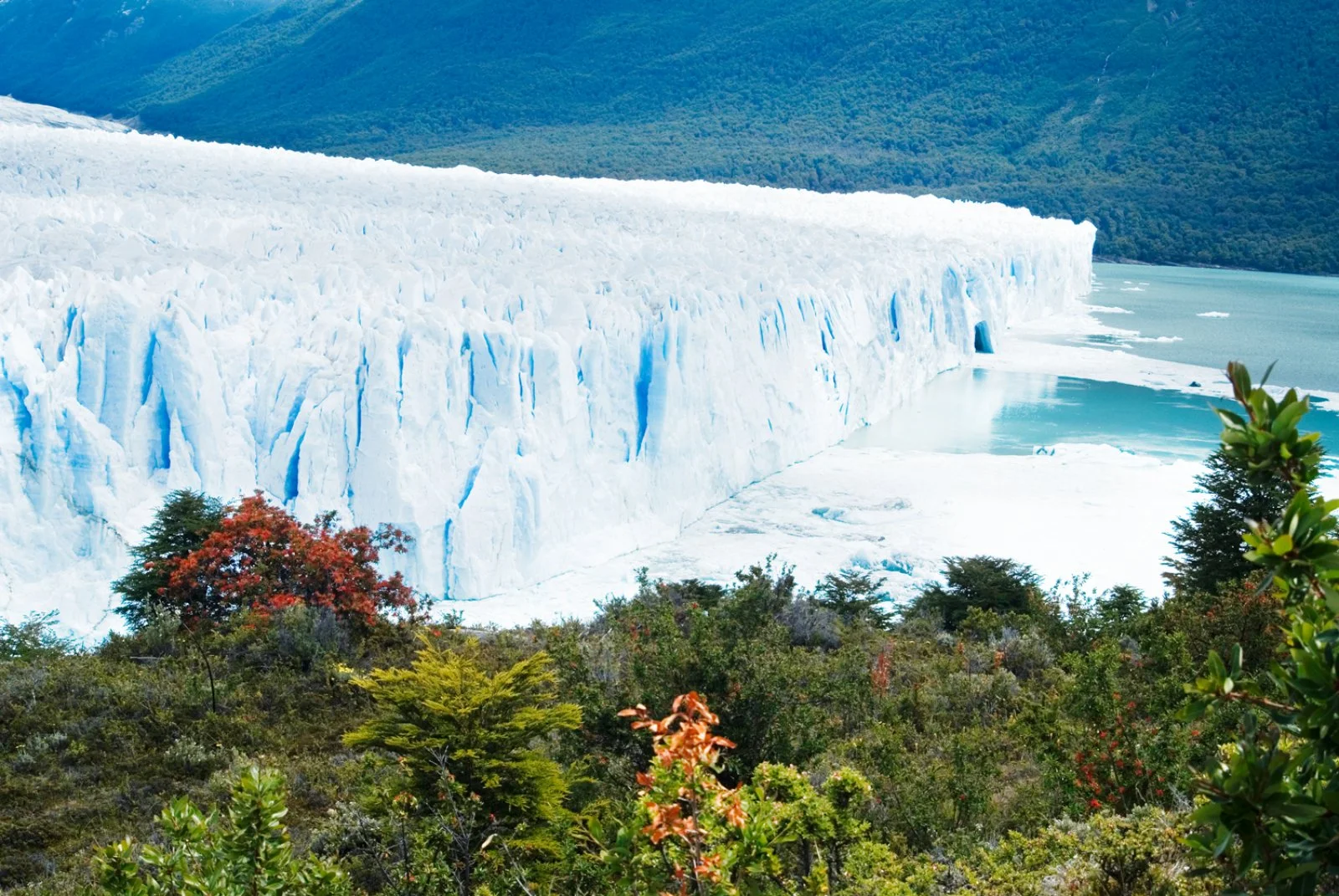 El Calafate - immagine 3 di 4