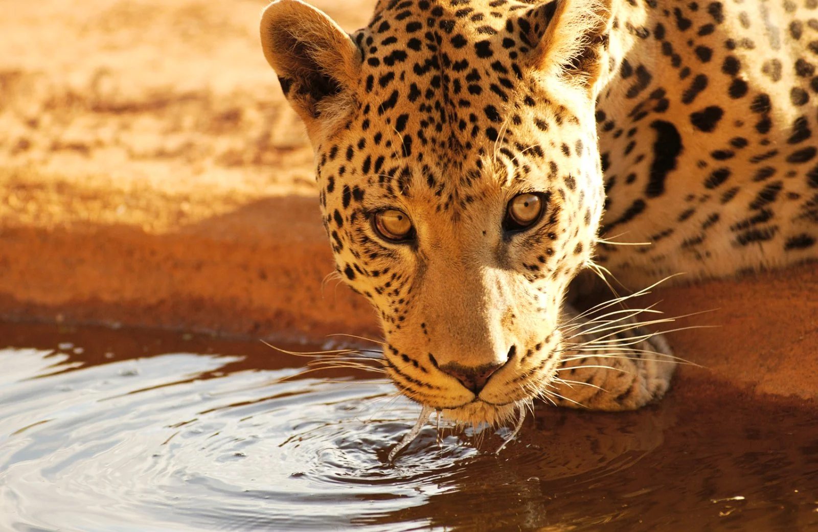 Tour Classic Namibia - Namibia
