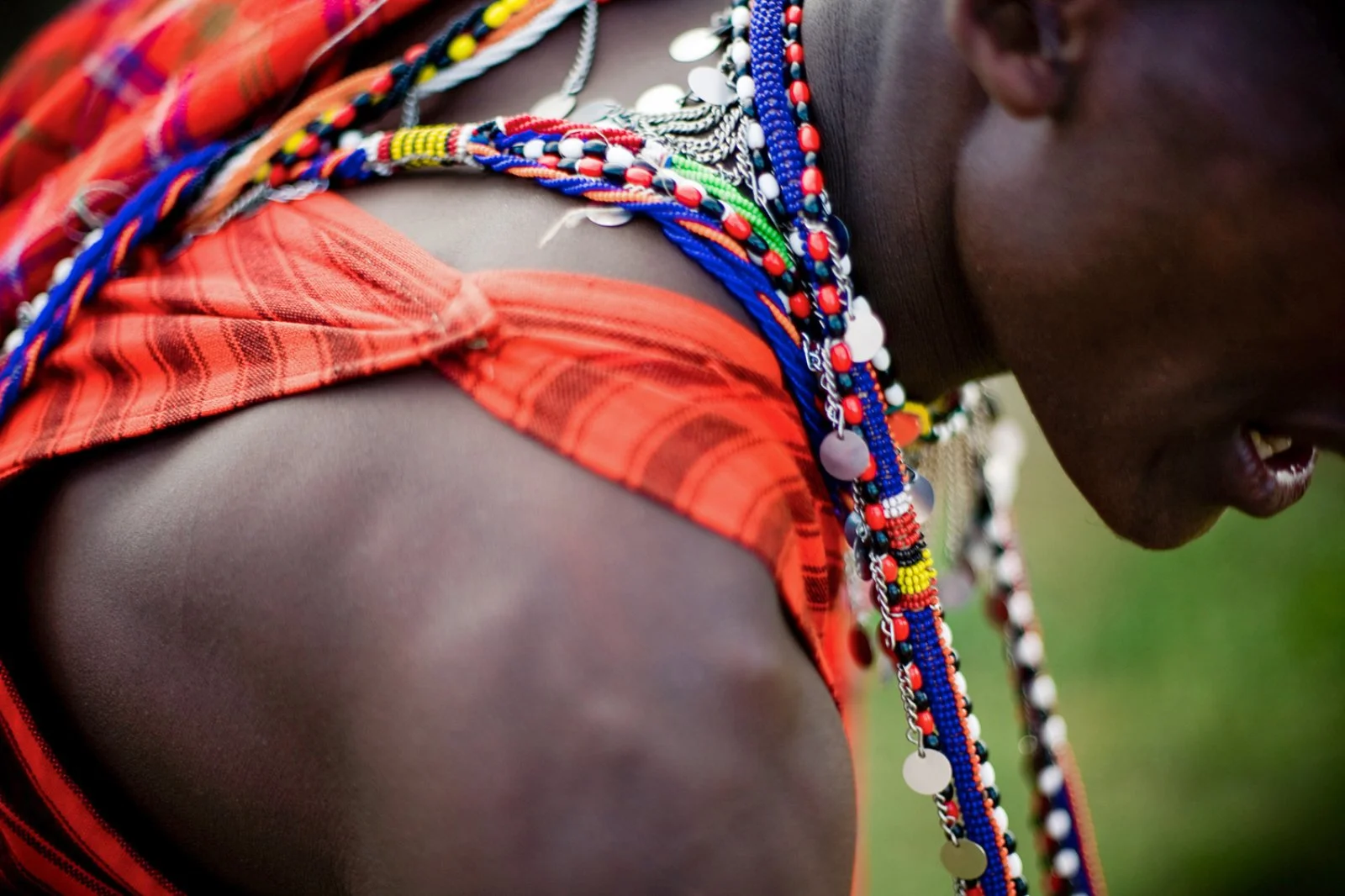 Serengeti Centrale - Ngorongoro - immagine 1 di 2