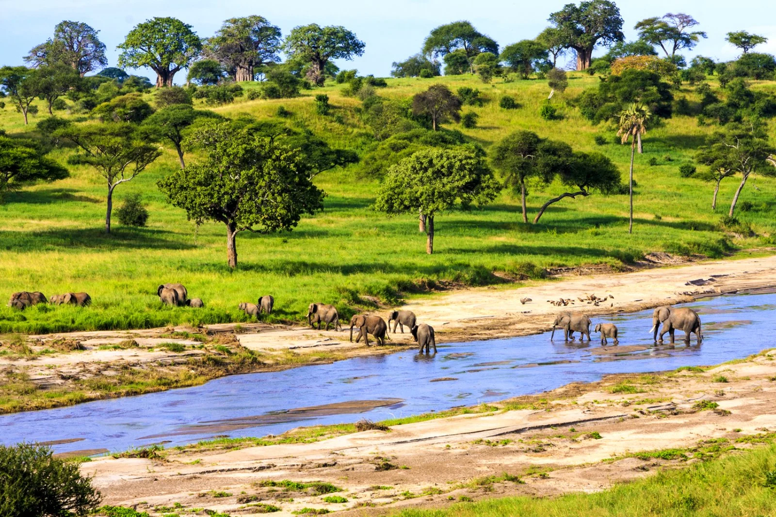 Lake Manyara - Serengeti Centrale - immagine 2 di 2