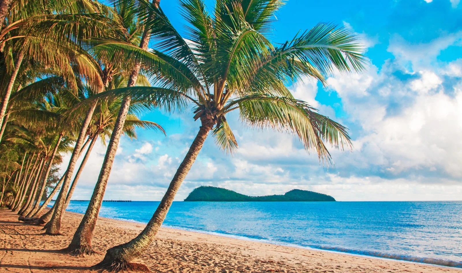 Palm Cove - Italia