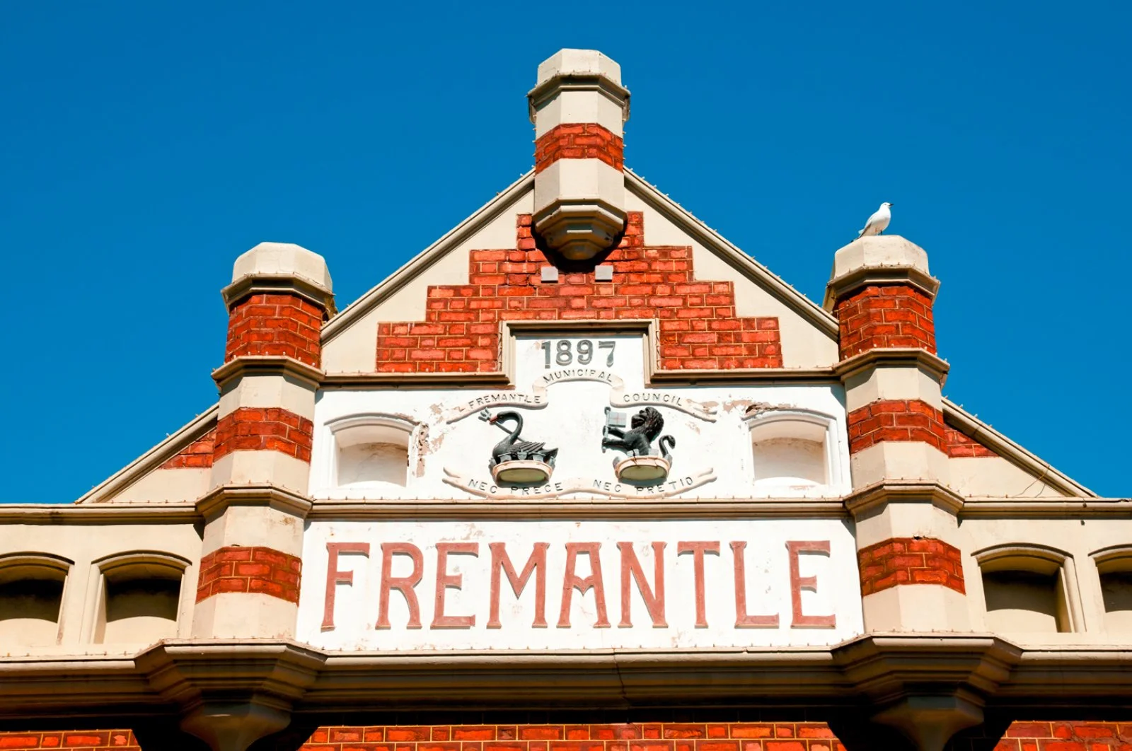 Cervantes - Fremantle - immagine 2 di 2