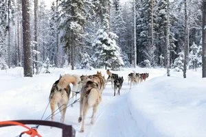 ROVANIEMI EXPLORER – Saarenkylä