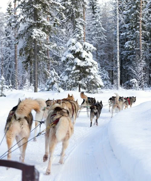 ROVANIEMI EXPLORER – Saarenkylä