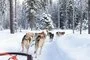 ROVANIEMI EXPLORER – Saarenkylä