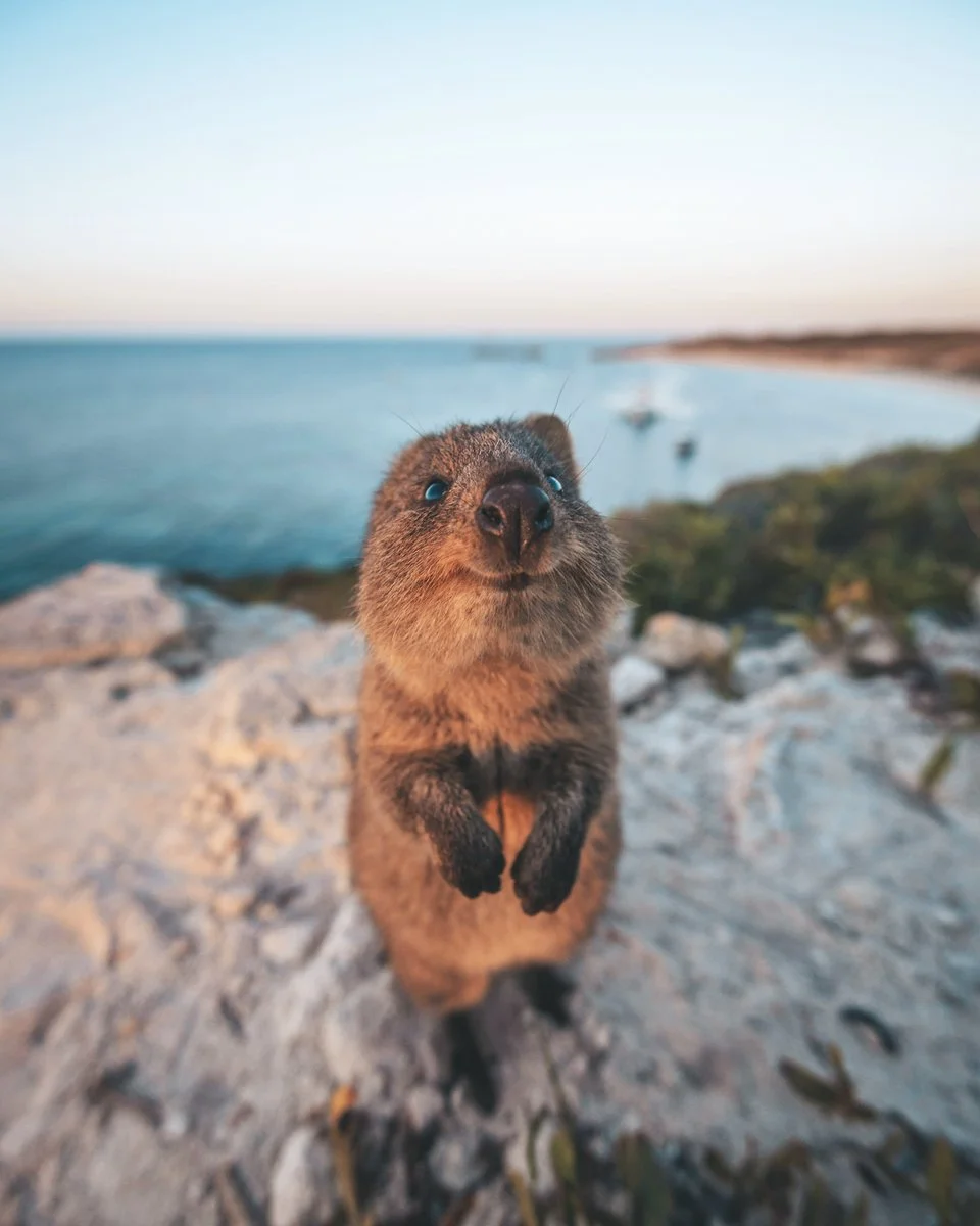 Perth - immagine 2 di 2
