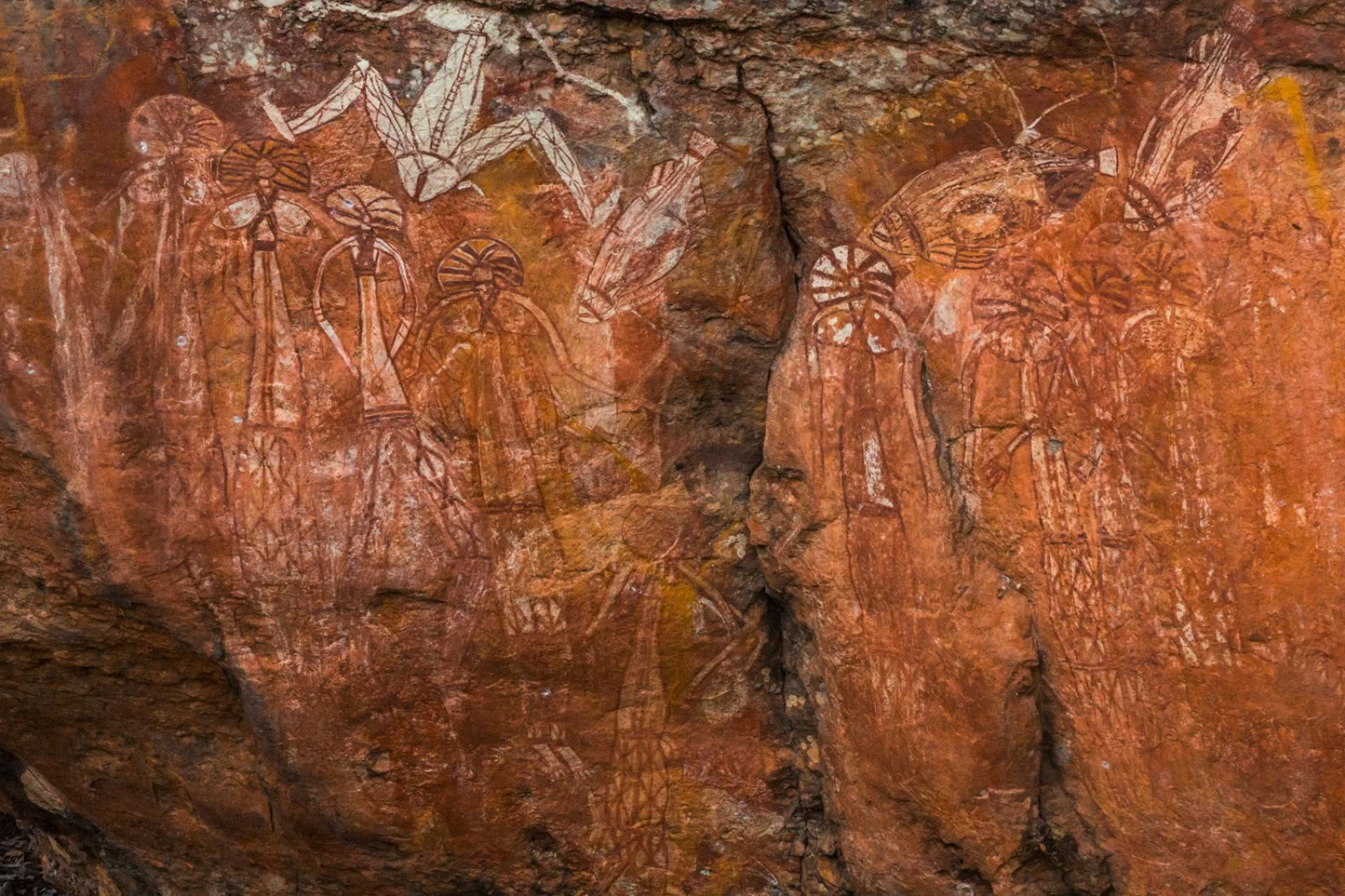Kakadu N.P. - immagine 1 di 4