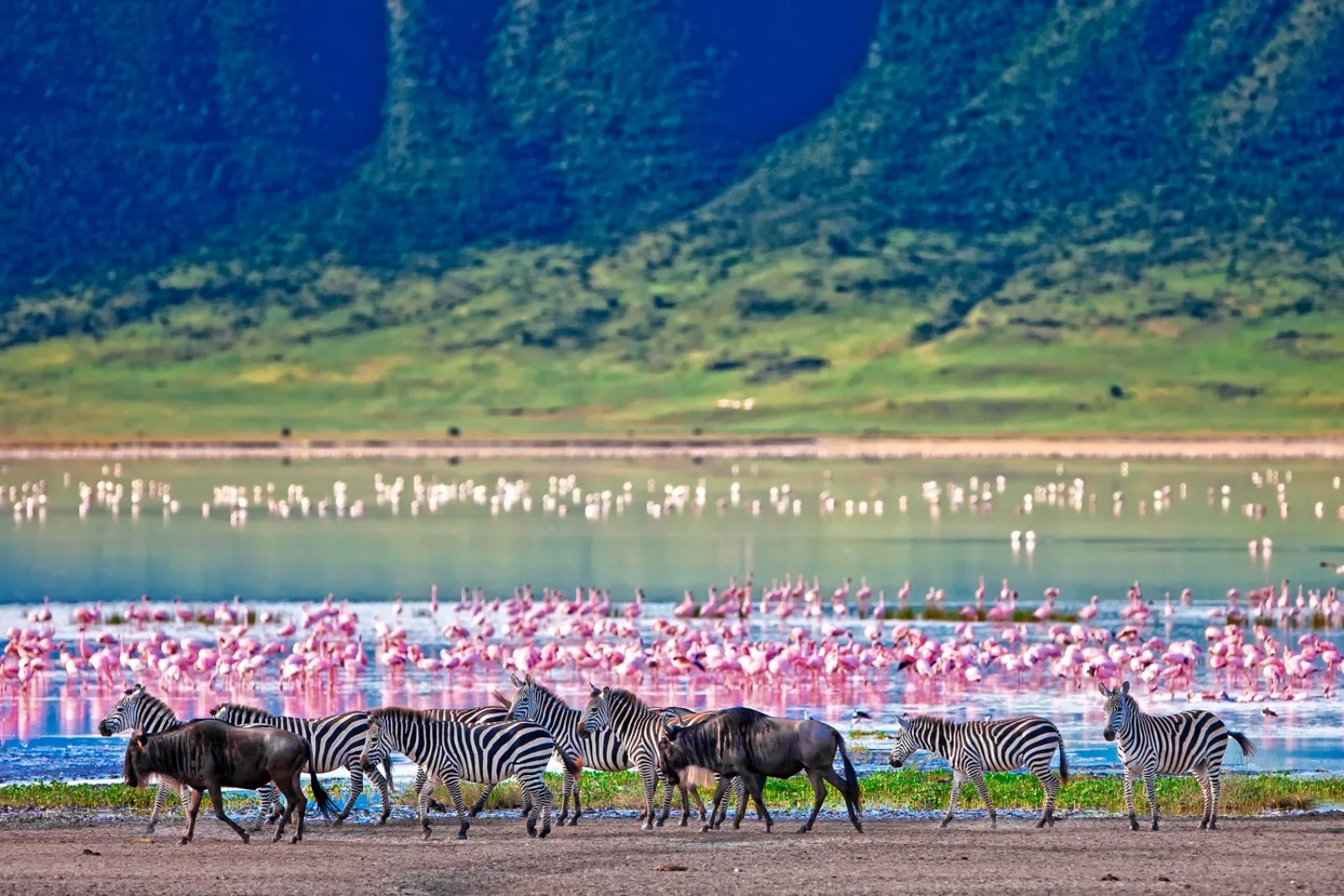 KARATU/PARCO NAZIONALE DEL SERENGETI (250 km)