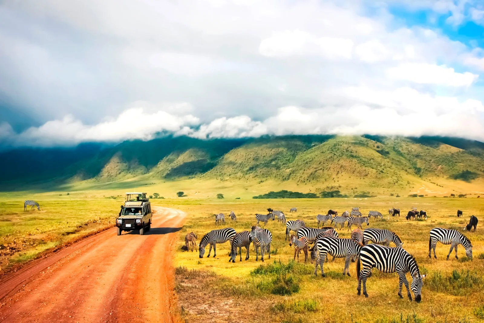 Serengeti/Ngorongoro/Manyara (180 km)