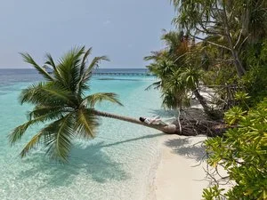 GUESTHOUSE DIFFUSA A UKULHAS – Ukulhas
