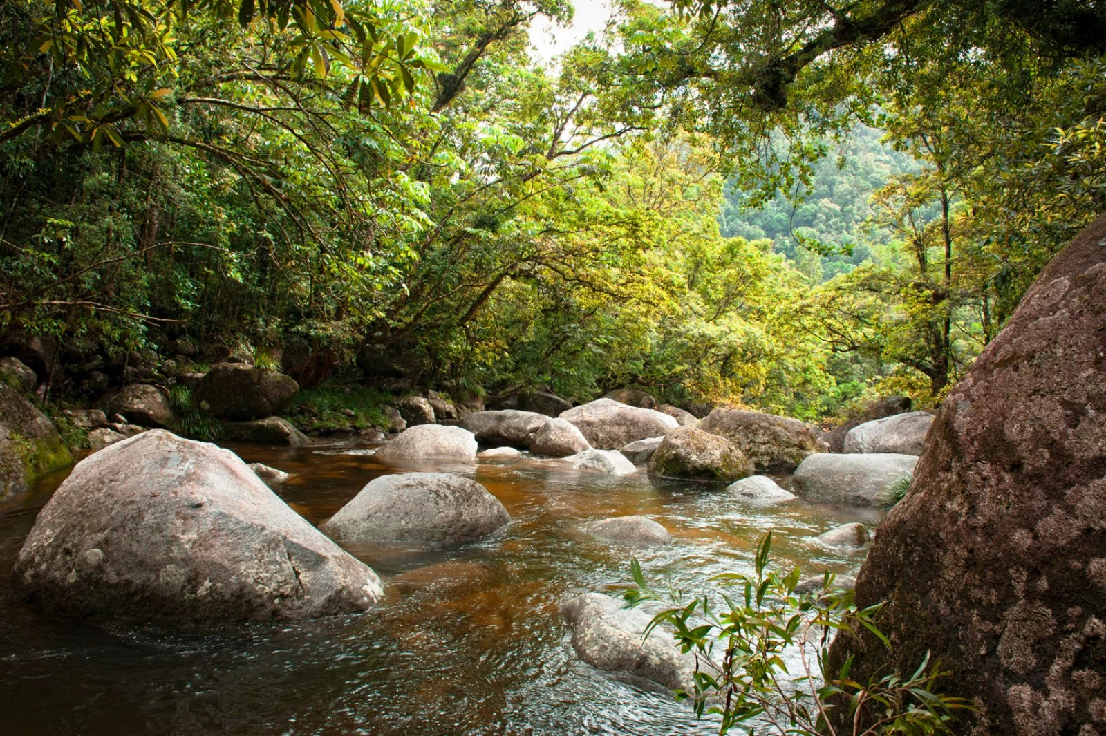 Cairns
