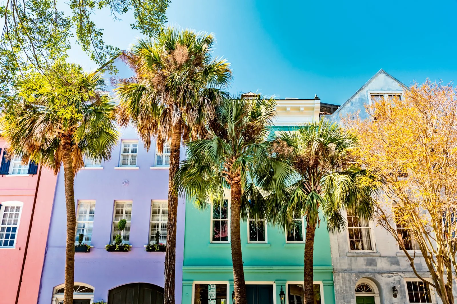 Savannah - Charleston