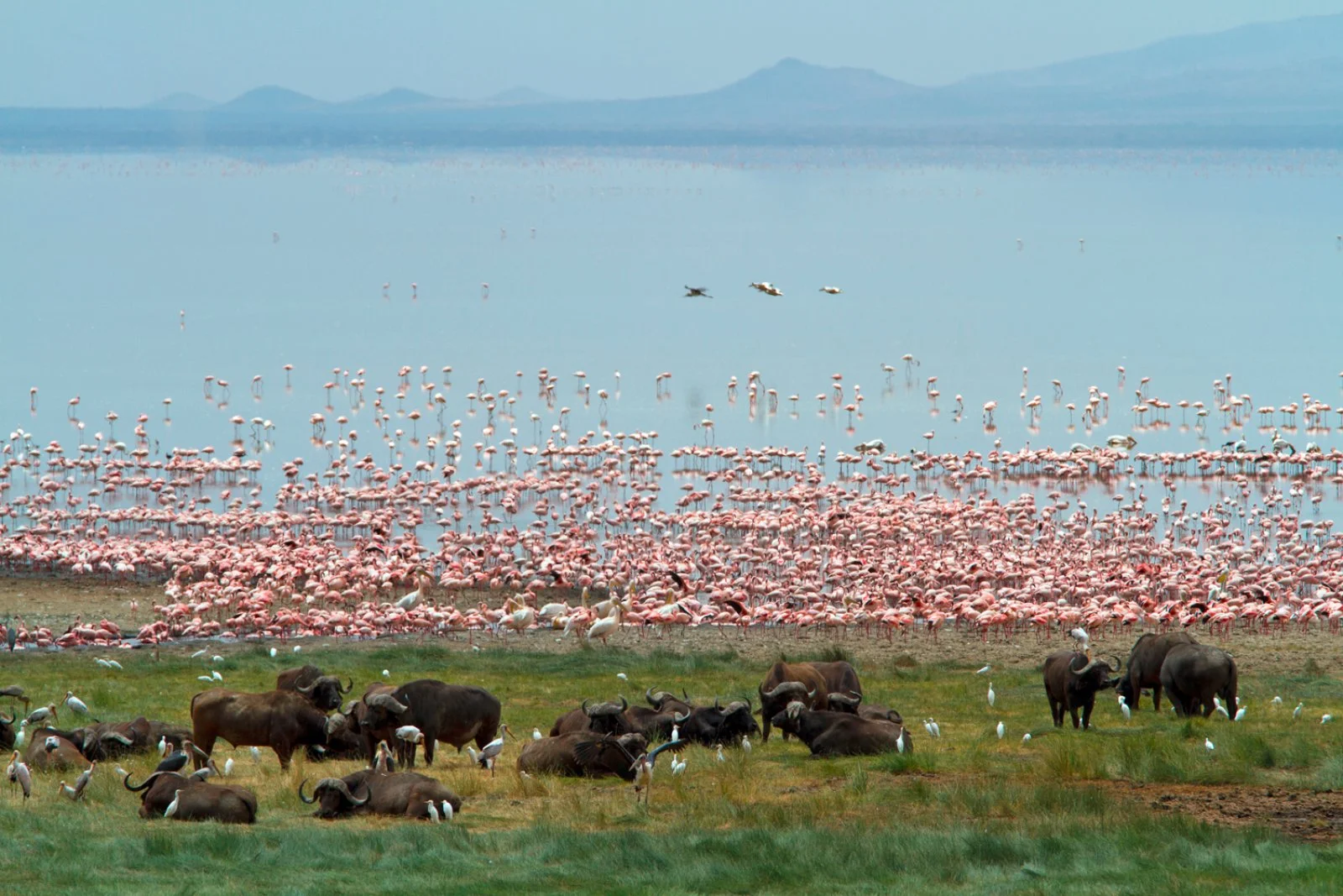 Zanzibar/Arusha/Lago Manyara/Karatu (190 km)
