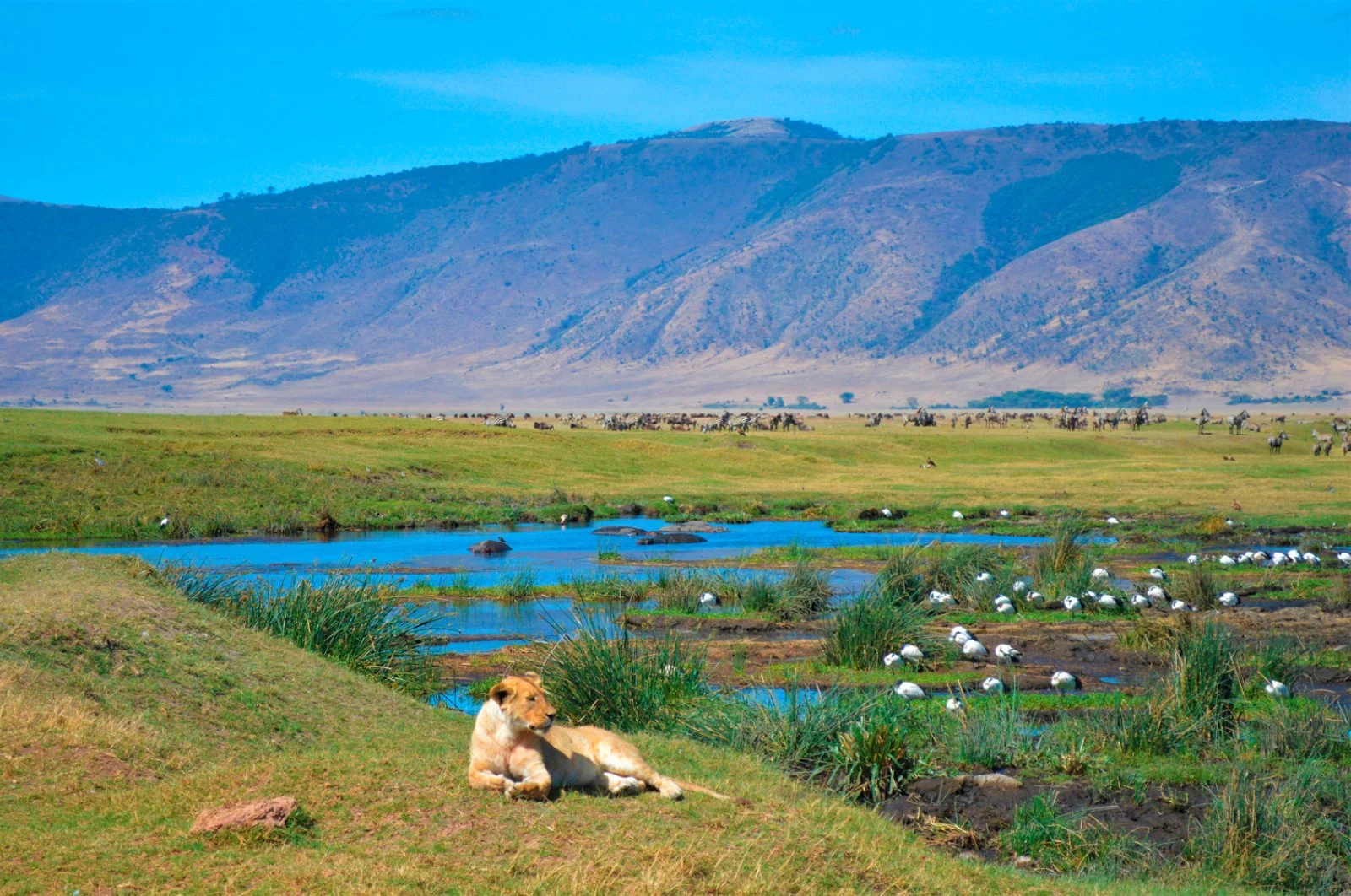 Karatu/NgoroNgoro/Karatu (70 km)