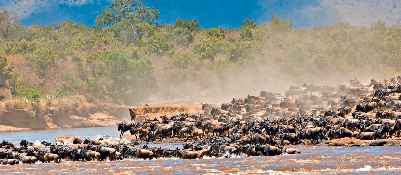 Ndutu