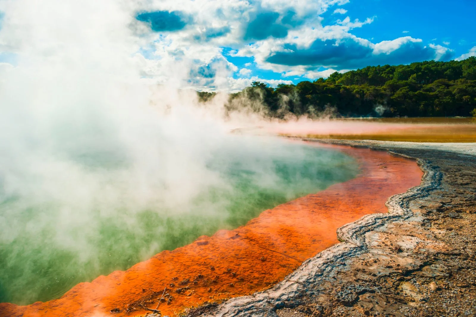 Pauanui - Rotorua - immagine 1 di 2