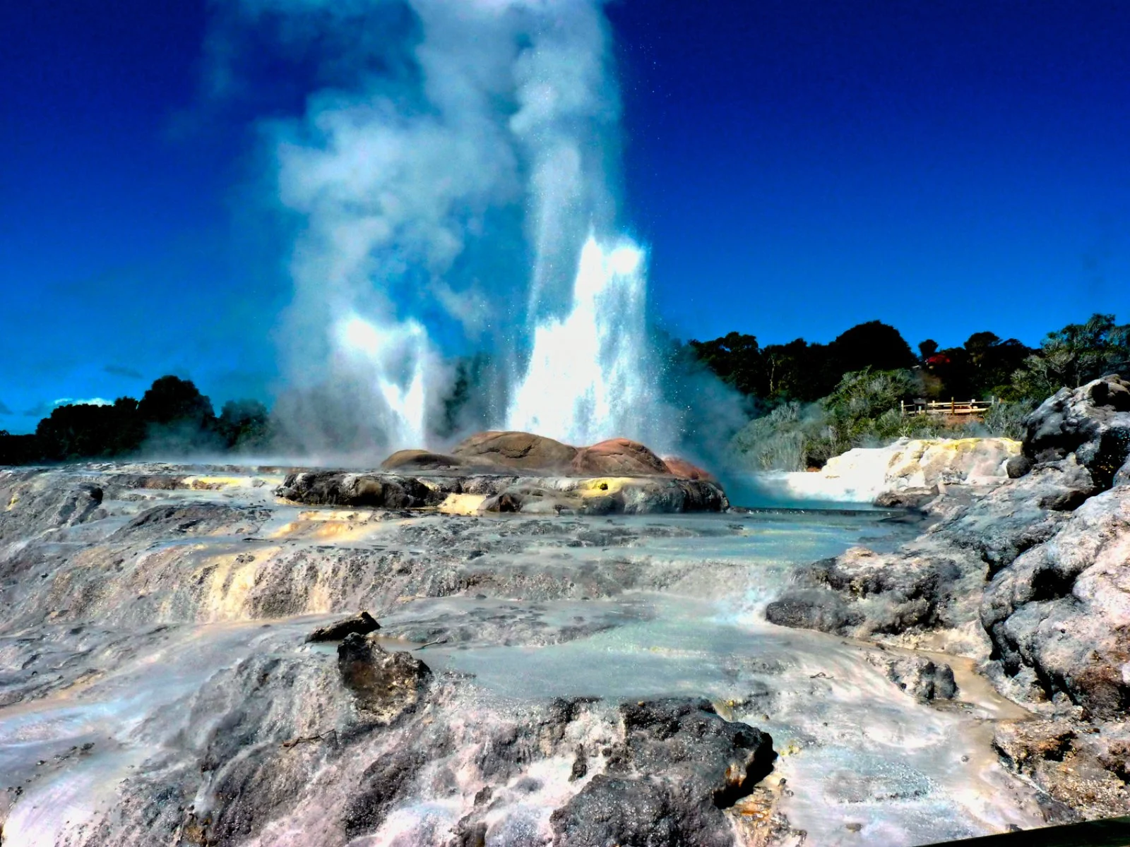 Rotorua - immagine 2 di 2