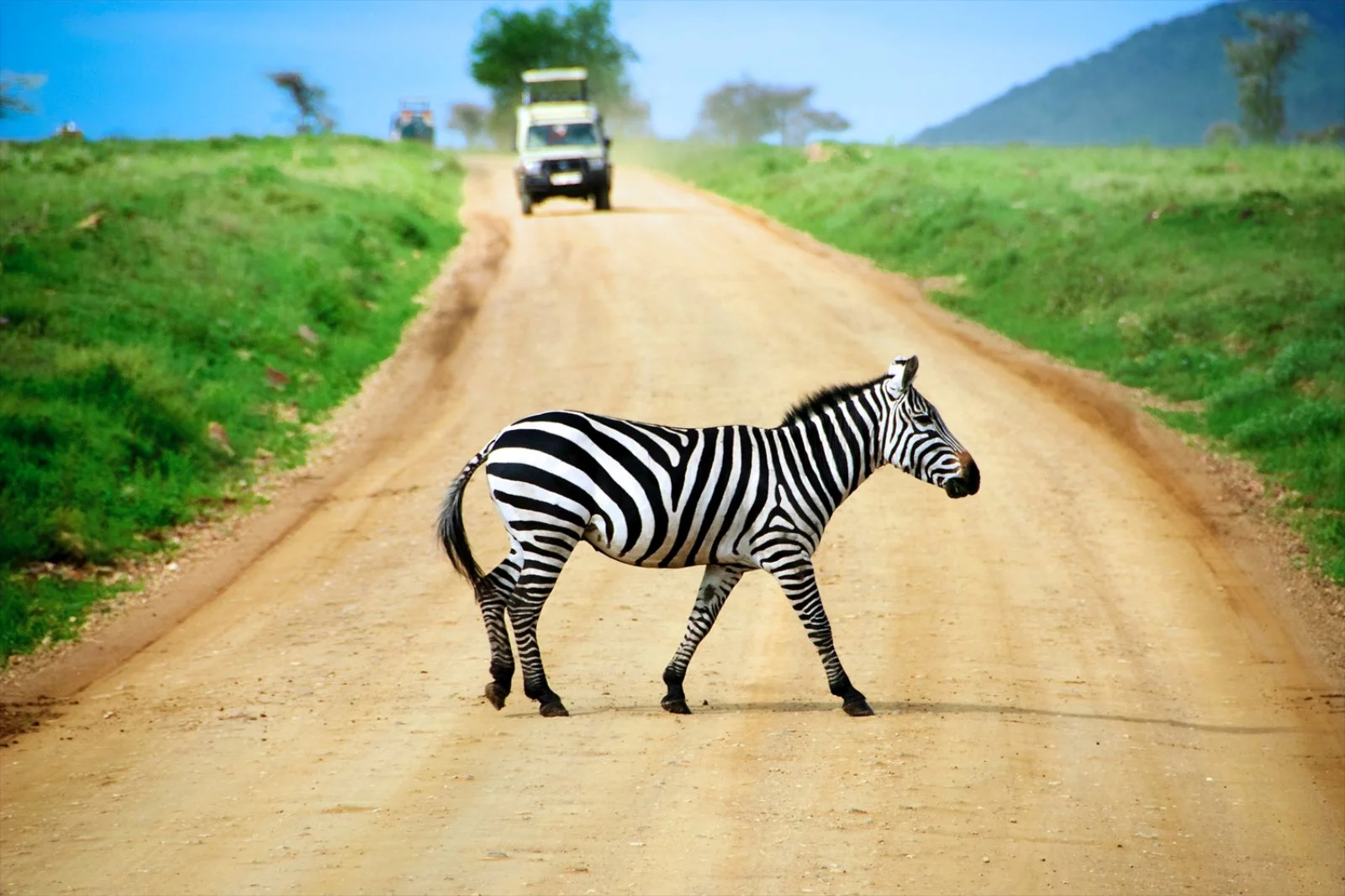 Tarangire/Lago Eyasi (210 km)