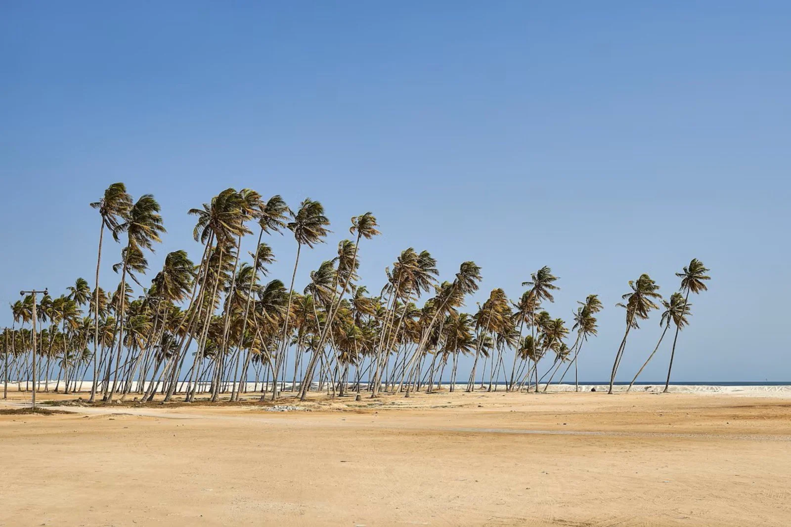 Salalah Gardens Hotel 