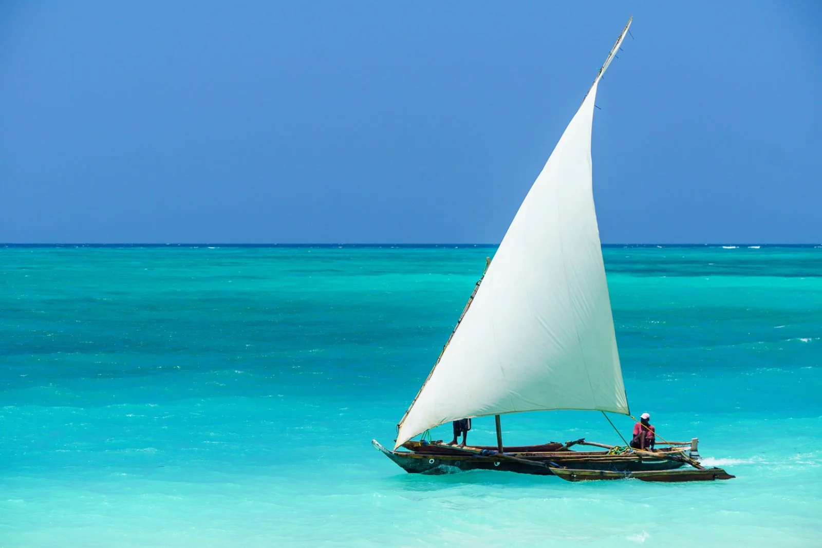 Tour Parchi Della Tanzania Kilimanj 