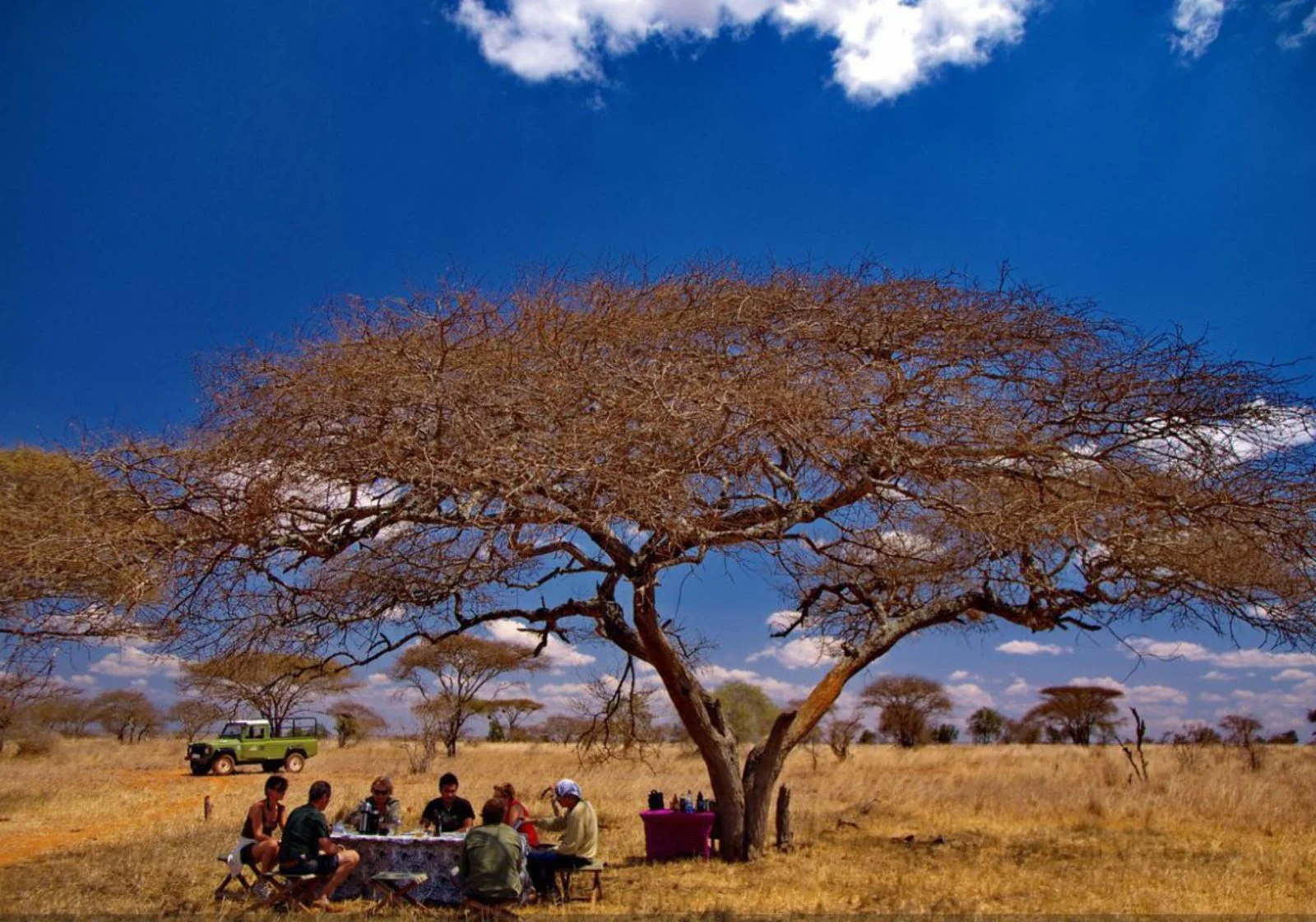 Safari Bravo Esplora Lualenyi Experience 