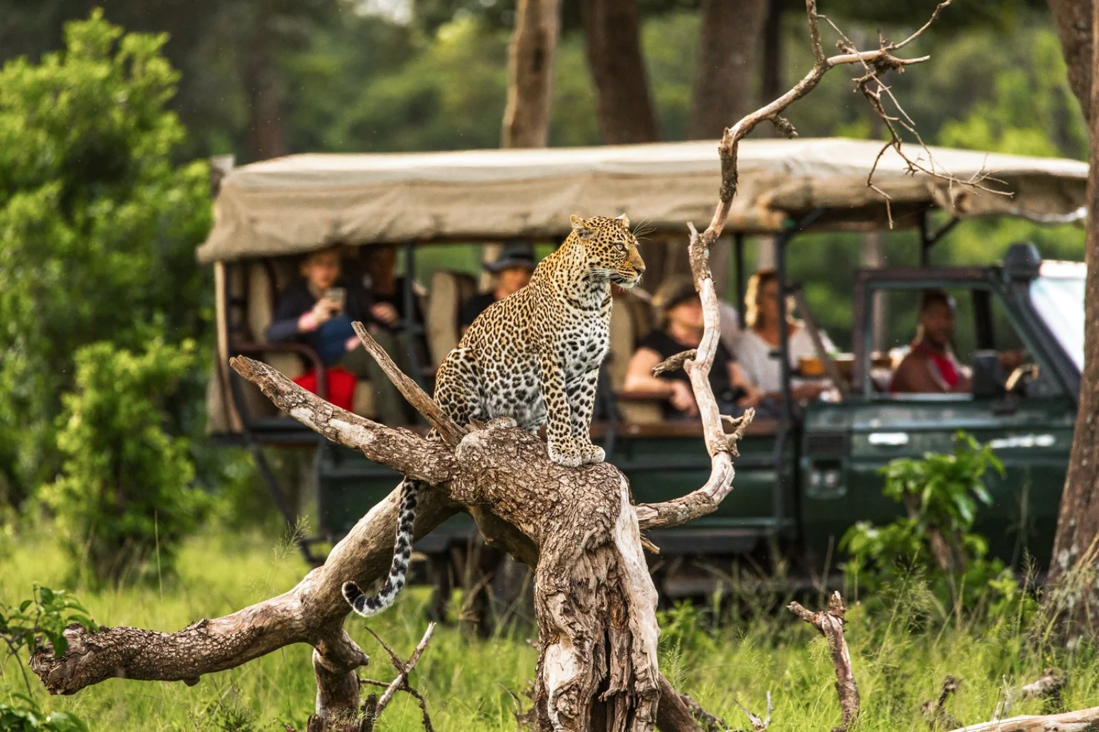 Serengeti National Park - Masai Mara Game Reserve - immagine 1 di 2