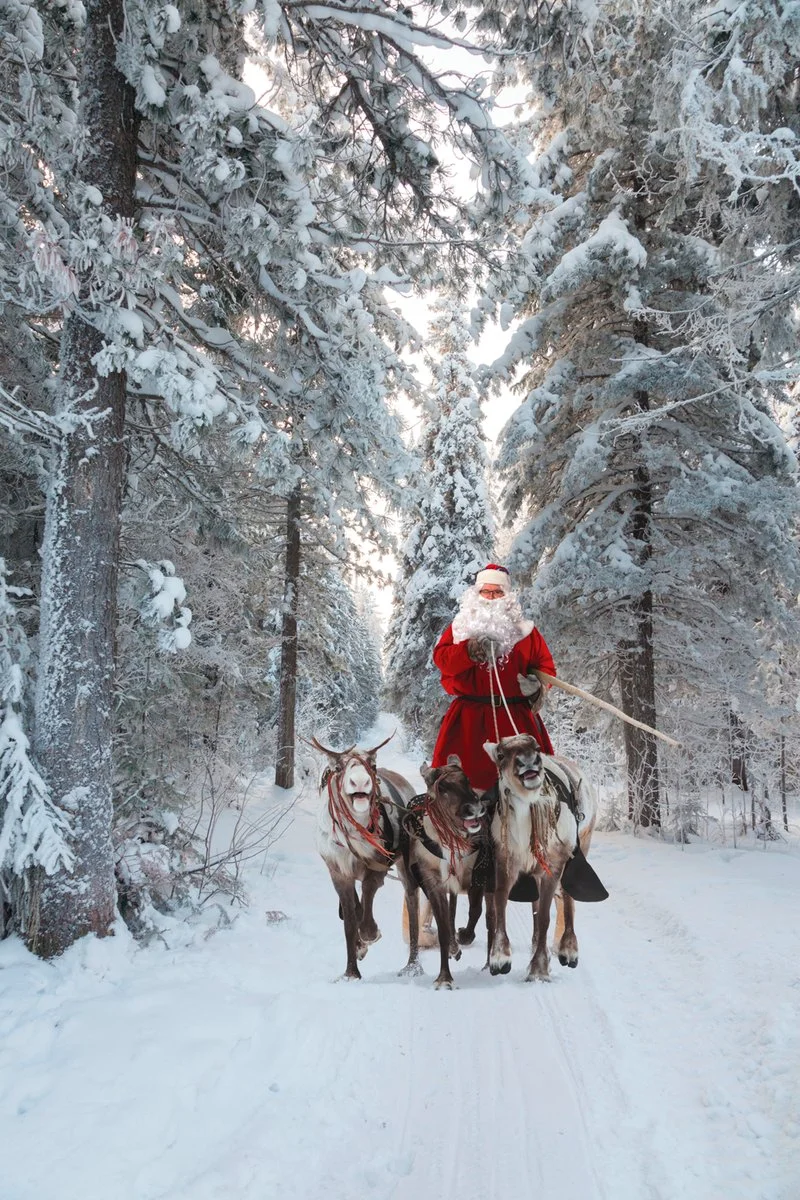 Rovaniemi City Break 