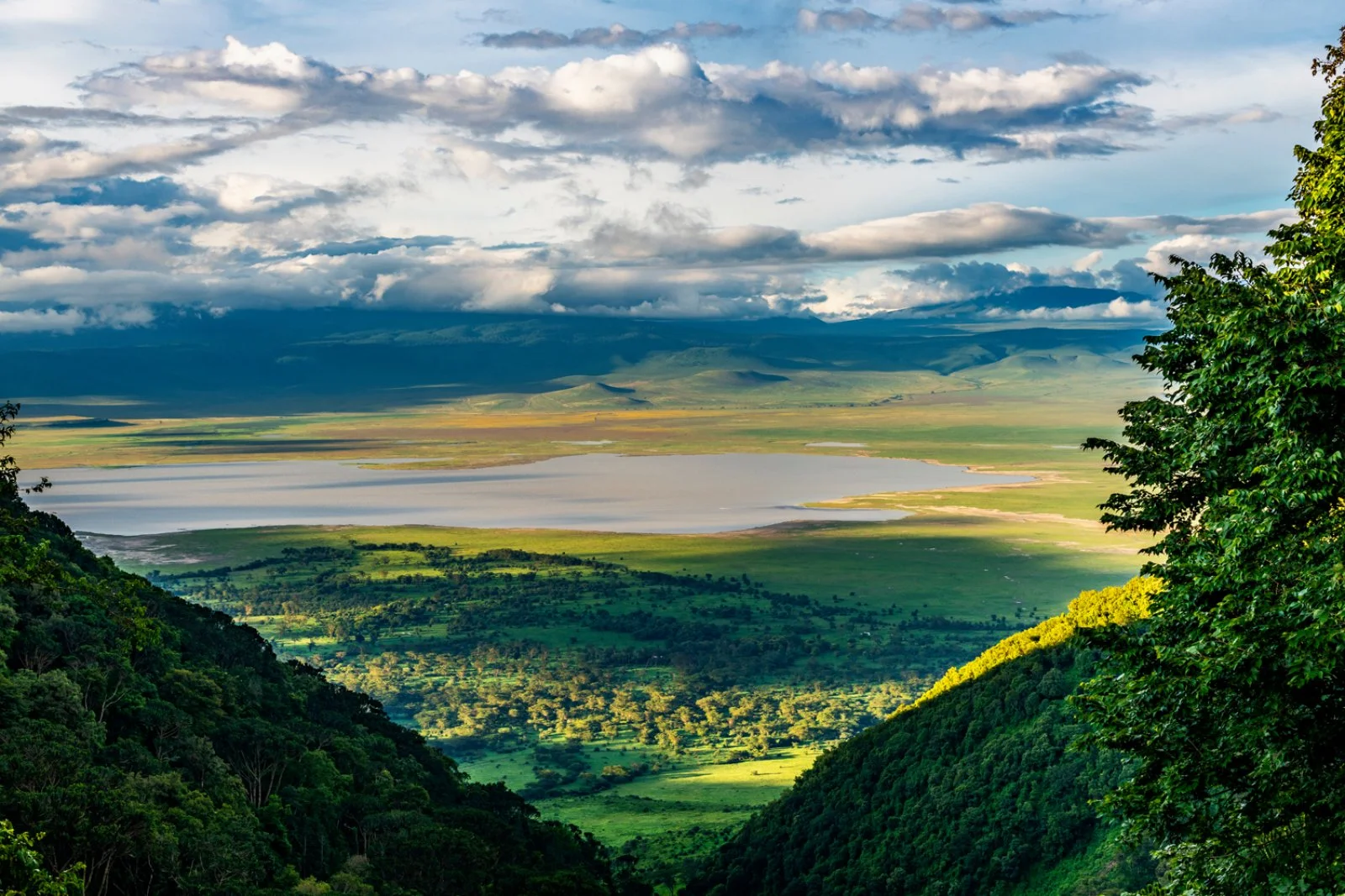 Safari Br Esplora Ngorongoro Essence Kilimanjaro - Ngorongoro National Park - Tanzania