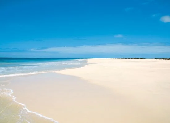 BRAVO VILA DO FAROL – Santa Maria