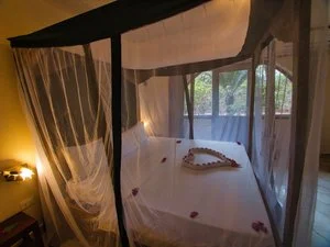 PALUMBO WAVES RESORT – Kendwa