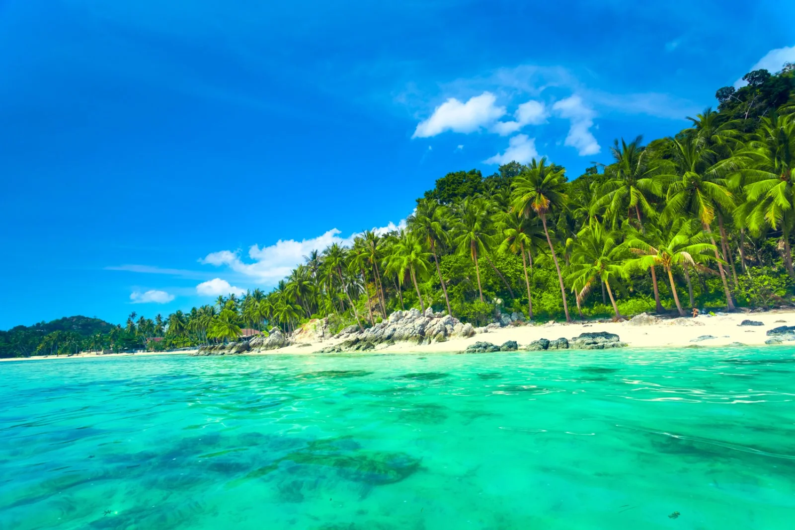 Bangkok - Koh Samui - immagine 1 di 2