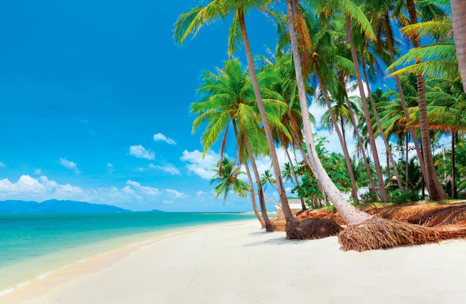 Bangkok - Koh Samui - immagine 2 di 2