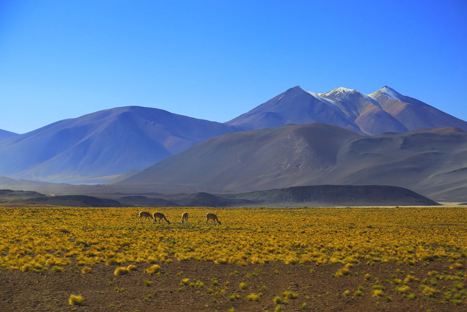 Santiago del Cile - Calama - San Pedro de Atacama
