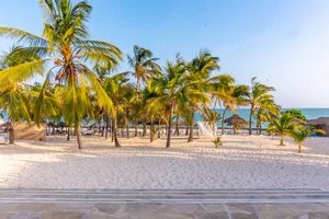 JUMBO RESORT – Watamu