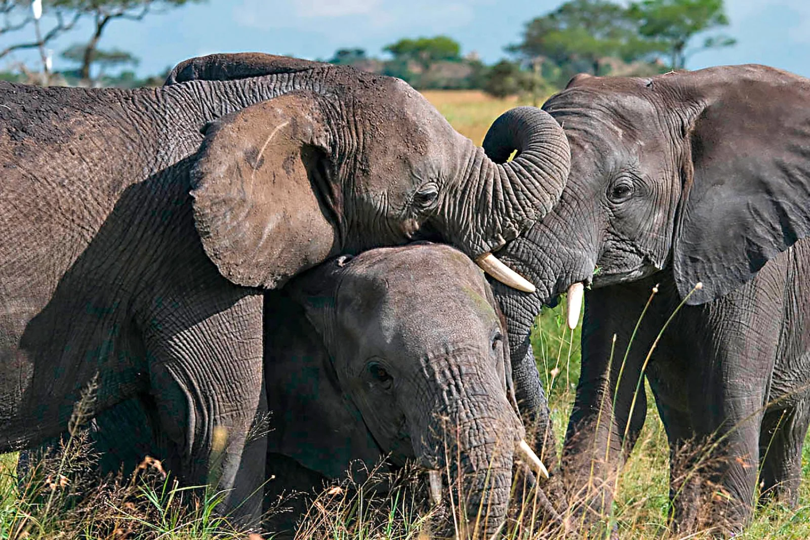 Tour Tanzania Romantic Escape 