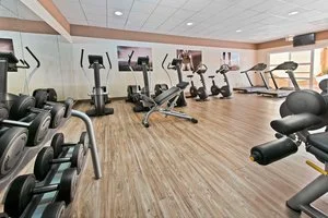 palestra