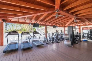 Palestra