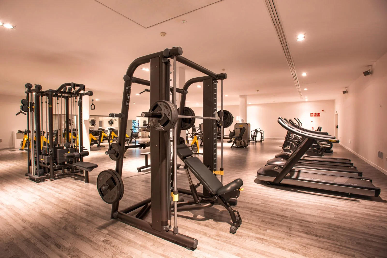 Palestra