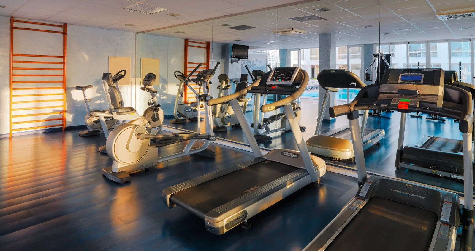 Palestra