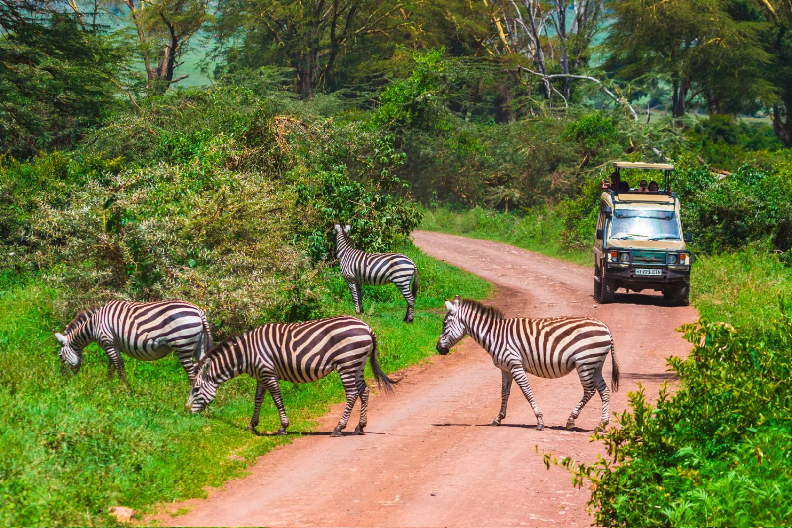 Tanzania Escape E Zanzibar 