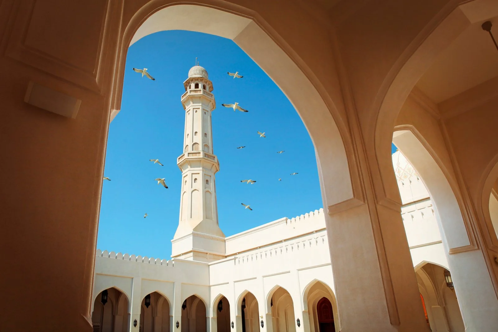 Muscat - immagine 1 di 5