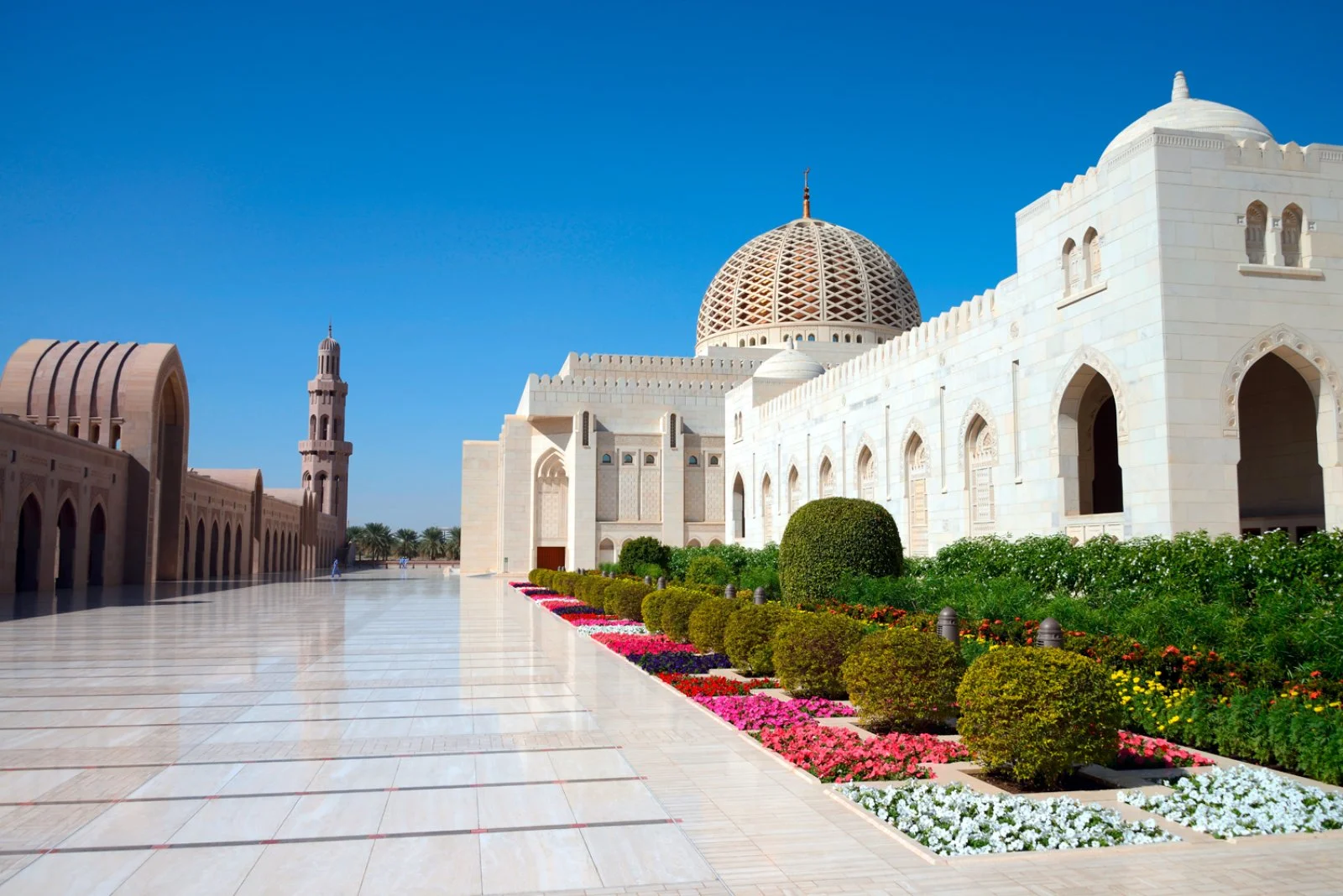 Italia - Muscat - immagine 3 di 4