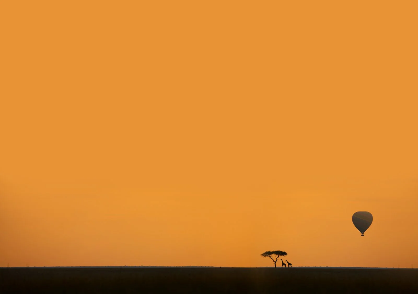 Riserva Masai Mara - Nairobi - Mahé - immagine 3 di 3