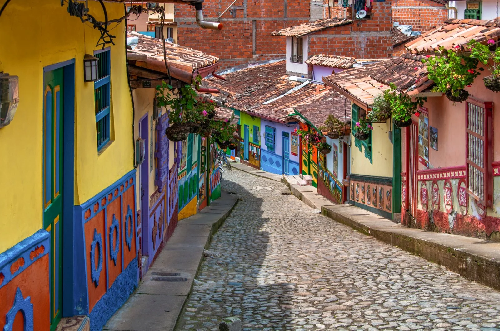 MAGIC INCANTO COLOMBIANO Thumbnail