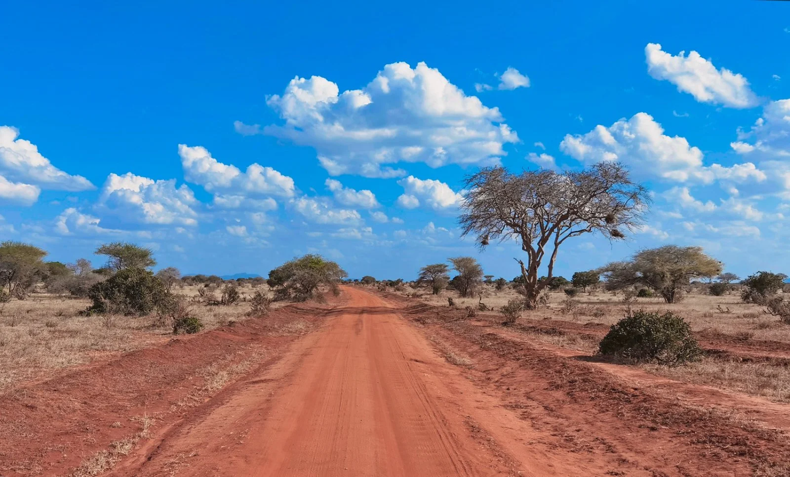 Safari Bravo Esplora Tsavo Touch - Tsavo National Park Safari Bravo Esplora Tsavo Touch - Tsavo National Park