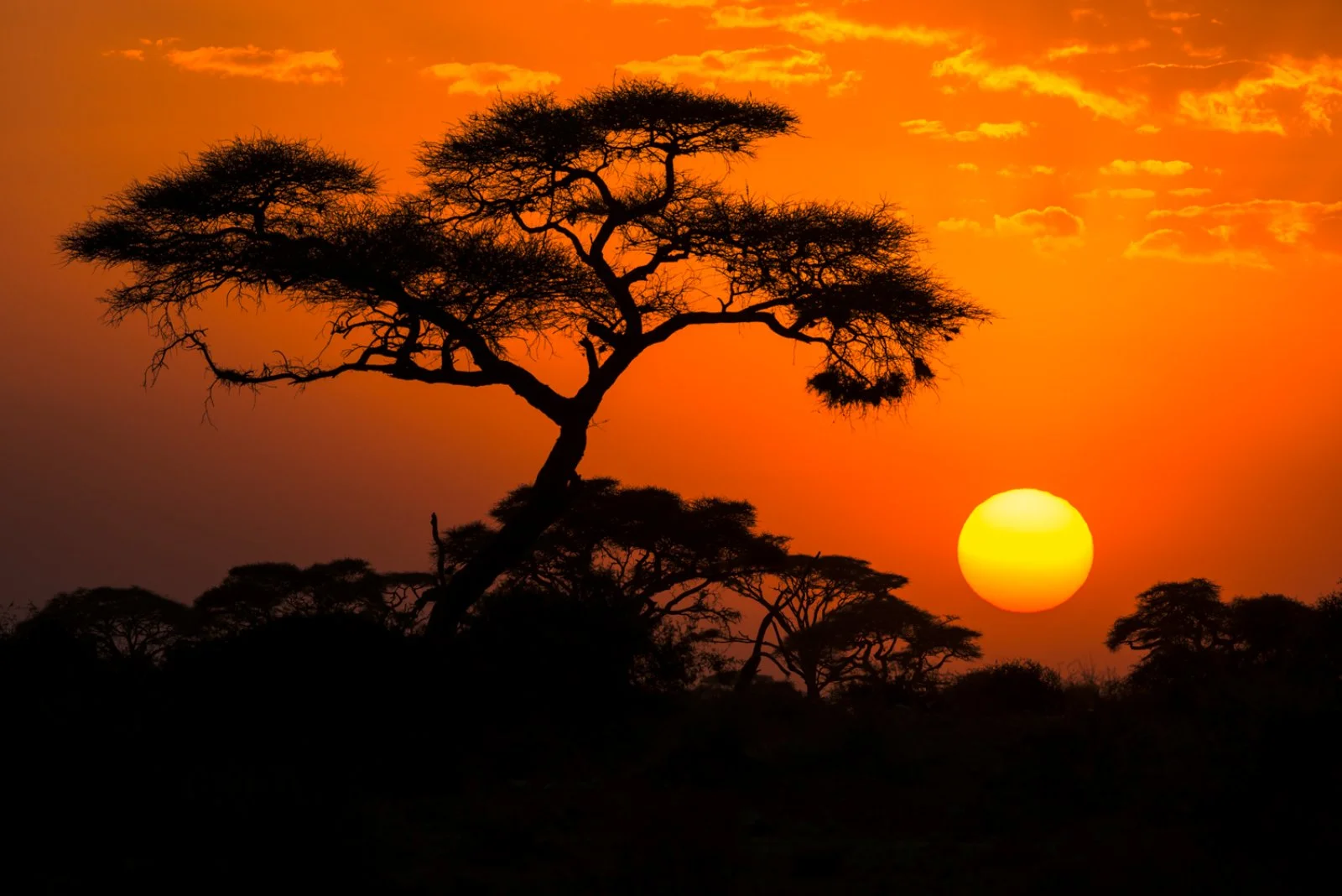 Intour Kilimanjaro Intour Kilimanjaro