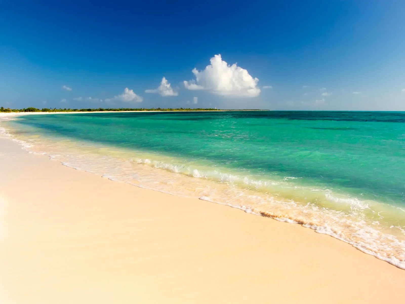 Cozumel, mare e natura caraibica