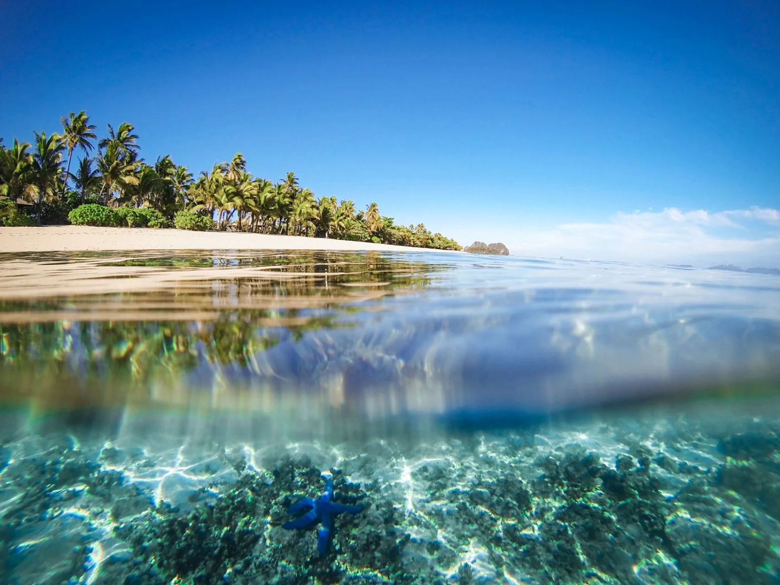 Italia - Tahiti